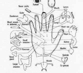 acupressure points