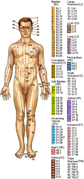 lymph drainage map