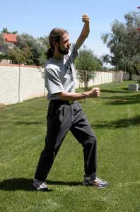 Rob Williams Chi Gung of Shing Yi and Ba Gua instructor