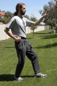 Rob Williams Chi Gung of Shing Yi and Ba Gua instructor